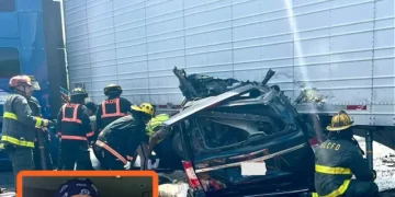 Report: Illegal Trucker Behind Fatal U-Turn Failed English Language Test