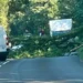 Lucky escape for driver as tree falls on car on busy Welsh road