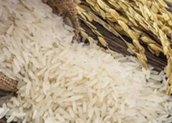 Indian agri products face SPS roadblocks to get FTA benefits from UK