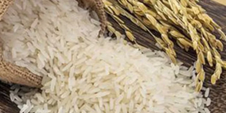 Indian agri products face SPS roadblocks to get FTA benefits from UK