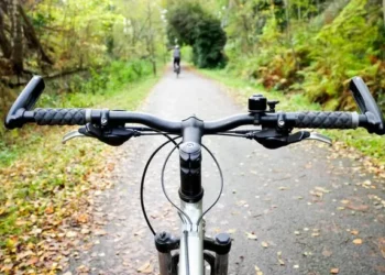 Owner of ‘territorial’ dog worried that new cycle path will cause their pet to bark excessively