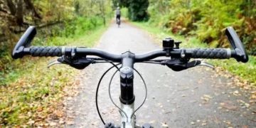 Owner of ‘territorial’ dog worried that new cycle path will cause their pet to bark excessively