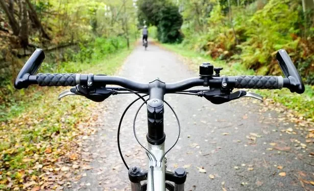 Owner of ‘territorial’ dog worried that new cycle path will cause their pet to bark excessively