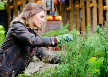 Gardeners ‘must add’ carpet to flower beds this September for vital reason