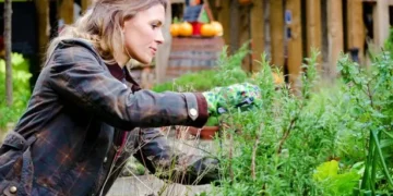 Gardeners ‘must add’ carpet to flower beds this September for vital reason