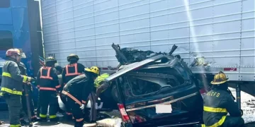 Texas Trucking’s Silent Threat: Non-English Speaking Drivers Surge as Crashes Mount Nationwide