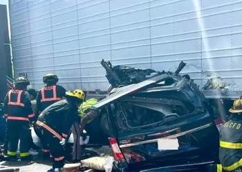 Texas Trucking’s Silent Threat: Non-English Speaking Drivers Surge as Crashes Mount Nationwide