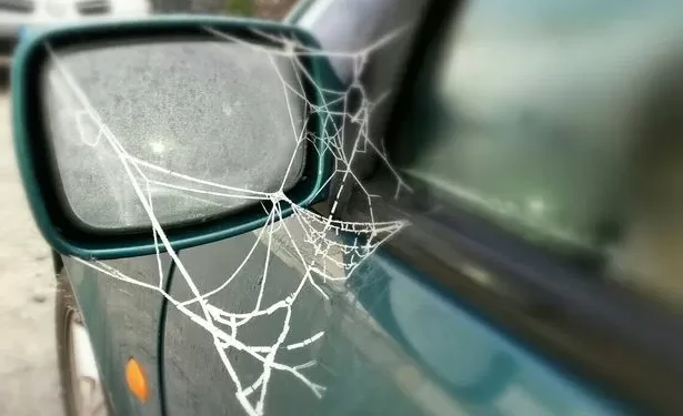 Motoring expert reveals one spot in your car that makes spiders really dangerous