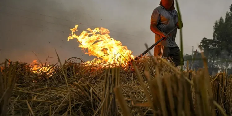 Stubble burning drops in all States except Madhya Pradesh, but Delhi still at risk amid GRAP I invoked