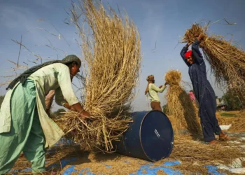 Russia’s idea of BRICS grain exchange to counter CME gains momentum