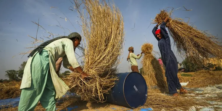 Russia’s idea of BRICS grain exchange to counter CME gains momentum