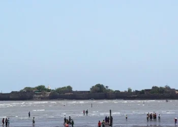 Where waves meet the world of the rich and famous