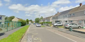 Child ‘assaulted near primary school’ as police launch investigation