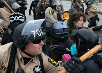 Poll: 60 Percent Majority of Young Liberals Endorse Violence to Stop Deportations