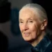 Conservationist and primatologist Dame Jane Goodall has died, aged 91