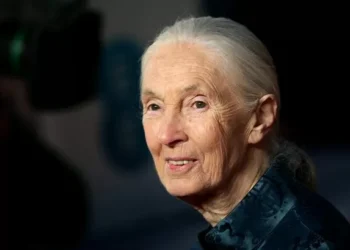 Conservationist and primatologist Dame Jane Goodall has died, aged 91