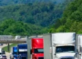 Truckers Gain Wages as ICE Detains Highway Illegals