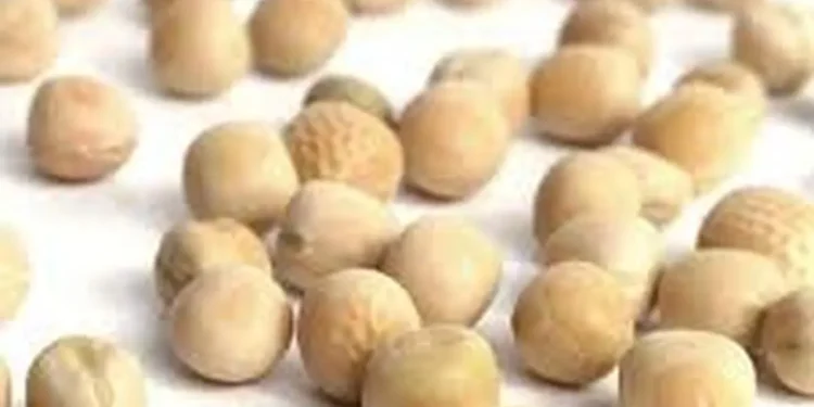 India ends duty-free imports of yellow peas