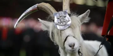 How 18 common phrases we use every day came about