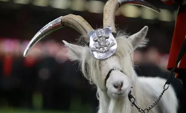 How 18 common phrases we use every day came about