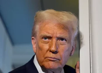 Trump: Democrats Deflecting to Epstein Hoax to Distract from Their Shutdown