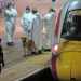 What we know about Huntingdon train stabbing as hero fights for life