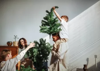 Hallmark Christmas tree quiz reveals what your decorating style says about you