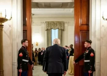 Trump Looks to Bring Ukraine Peace Deal in for Landing