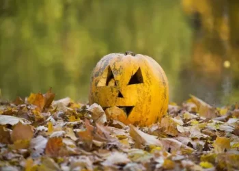 Anyone with leftover Halloween pumpkins issued £50k fine warning