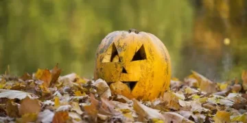 Anyone with leftover Halloween pumpkins issued £50k fine warning