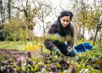 Gardeners could be ‘caught off guard’ this weekend after warm weather