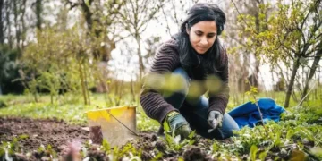 Gardeners could be ‘caught off guard’ this weekend after warm weather