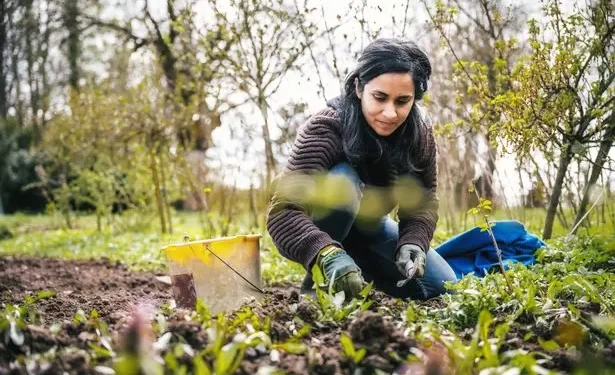 Gardeners could be ‘caught off guard’ this weekend after warm weather