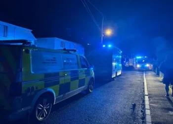 Baby killed in dog attack