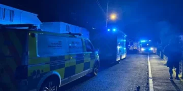 Baby killed in dog attack