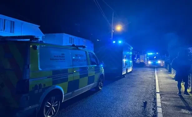 Baby killed in dog attack