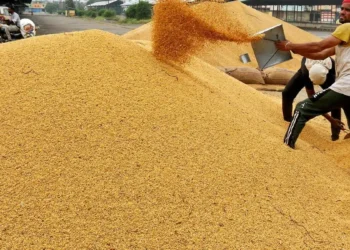 US-Bangladesh billion dollar deal to impact Indian soyameal exports