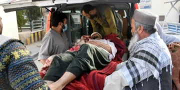 At least 20 dead and hundreds injured in massive earthquake