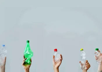 Glass vs PET: Alcobev sector rebalances packaging strategy amid cost and supply pressures