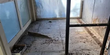 Wales’ biggest hospital is pigeon-infested and leaves patients ‘traumatised’