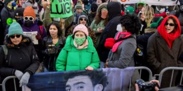 Nolte: Alleged Assassin Gets ‘Cougars for Luigi Mangione’ Fan Club