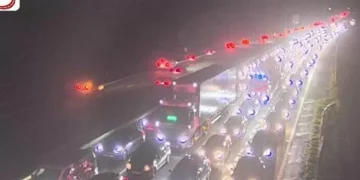 Multi-vehicle crash brought M4 to complete halt with debris scattered over motorway