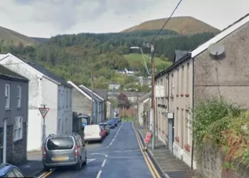 Two women hospitalised after being hit by a van