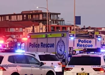 Watch: Heroic Bystander Tackles, Disarms Terrorist Gunman at Bondi Beach