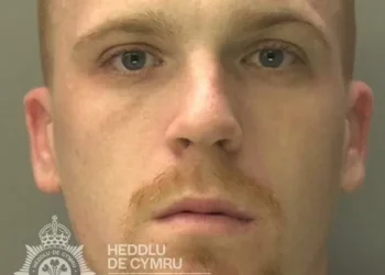 Police found out what couple were up to after analysing phone