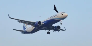DGCA panel on IndiGo disruption given extension to complete investigation