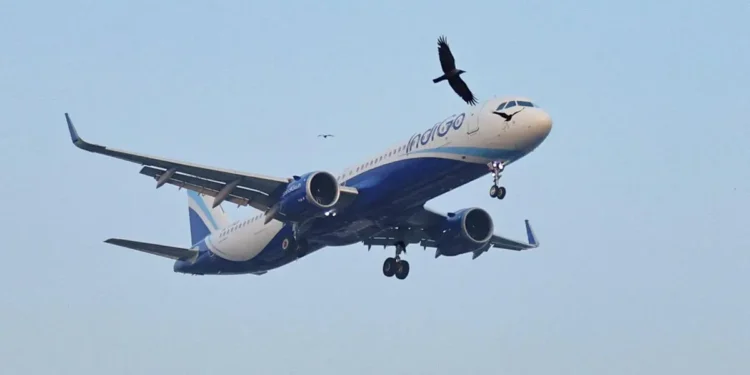 DGCA panel on IndiGo disruption given extension to complete investigation