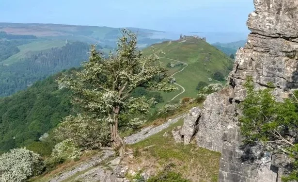 Plans for a fourth national park in Wales face opposition