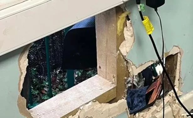 Charity devastated after break-in sees kids’ Christmas trip cash stolen