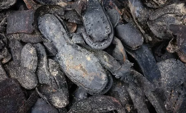 Hundreds of old and tattered shoes mysteriously found on Welsh beach